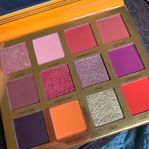 Ace beautē falling for you eye shadow palette